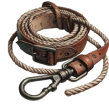 Bing Copilot Halsband und Leine.png