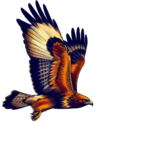Bing Copilot Wüstenbussard.png
