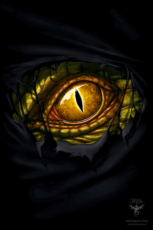 Drache amorphisss.png