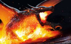 Drache josea302.jpg