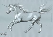 Einhorn.jpg