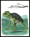 Kappa CamusAltamirano.png