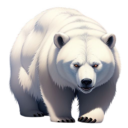 Perchance.org Eisbär.png
