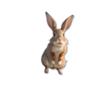 Perchance.org Hase.png