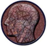 Token Esmoda.png