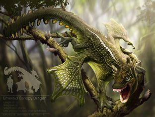 Walddrache arvalis.jpg