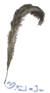 Zauberfeder.png